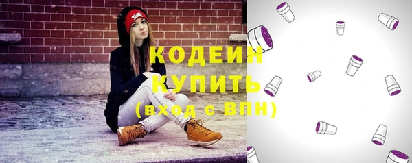 шишки Заволжье