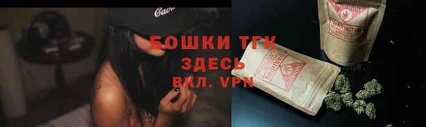 МДПВ Богданович