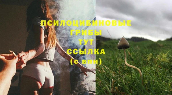 метадон Богородск
