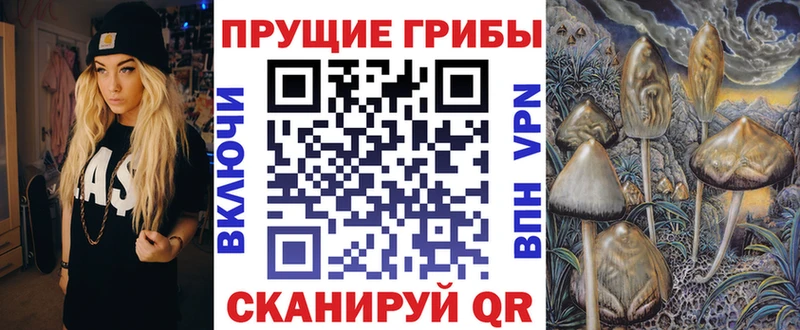 Псилоцибиновые грибы MAGIC MUSHROOMS Колпашево